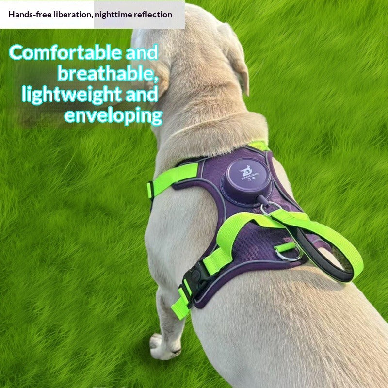Automatic Retractable Dog Leash & Harness
