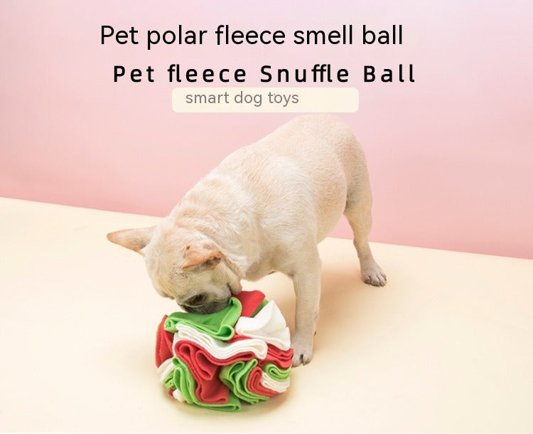 Pet Sniffing Ball
