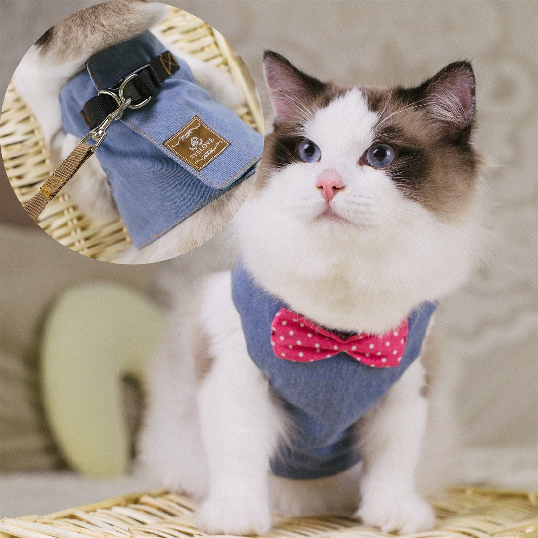 Cute Cat Chest Harness with Traction Rope