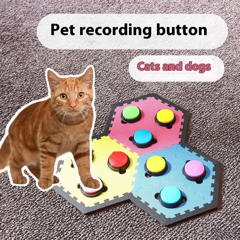 Pet Sound Recording