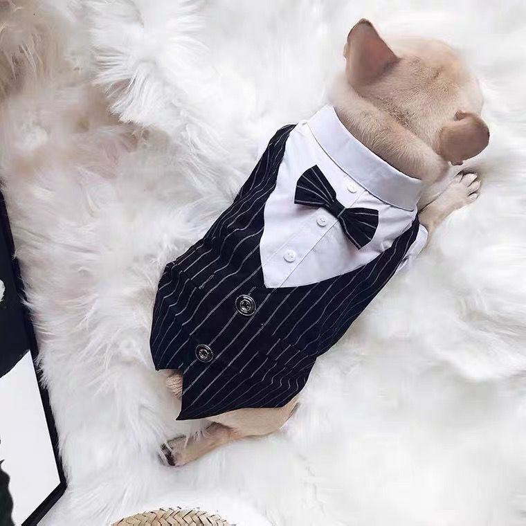 Creative Simple Dog Suit Shirt Coat