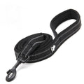 Dog Leash to Prevent Loss and Keep Your Pet Safe
