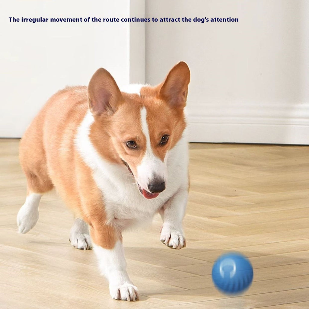 Gravity Rechargeable Interactive Dog Ball