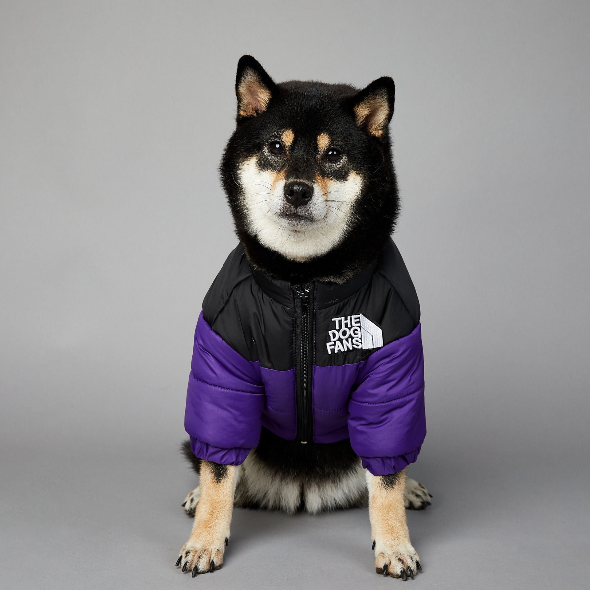 Windproof Rainproof Dog Winter Jacket