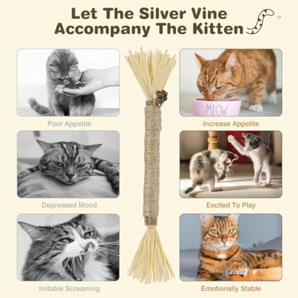 3 Pack Silvervine Cat Chew Sticks