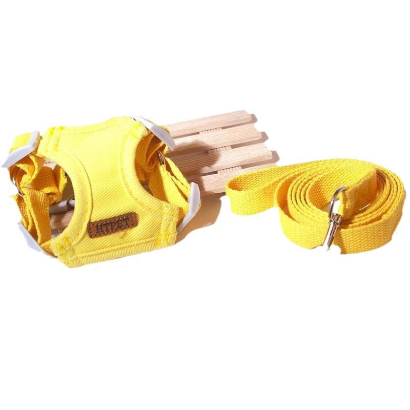 Cartoon 3D Teddy Dog Leash for Pets and Cats