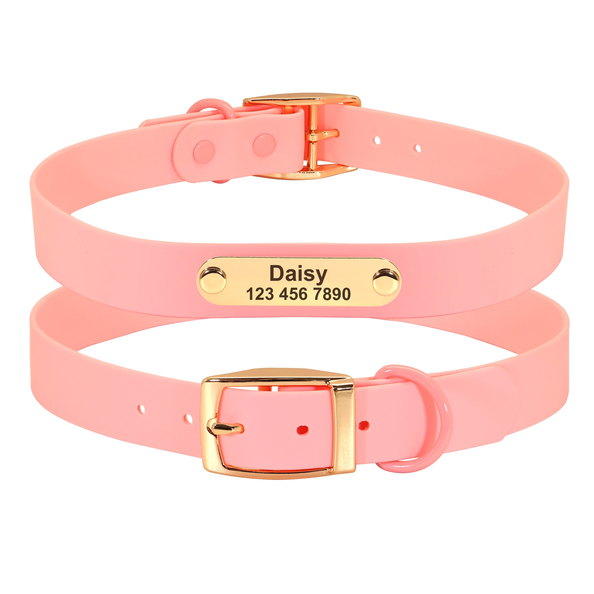 Medium Dog Collar and Leash for Teddy Breeds