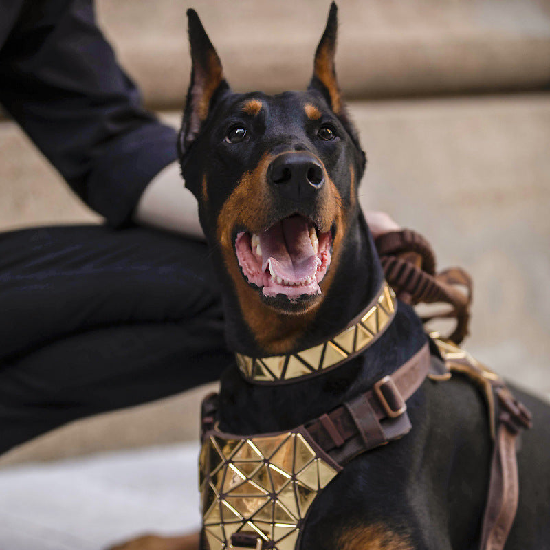 Dog Vest Style Traction Rope for Chest and Back