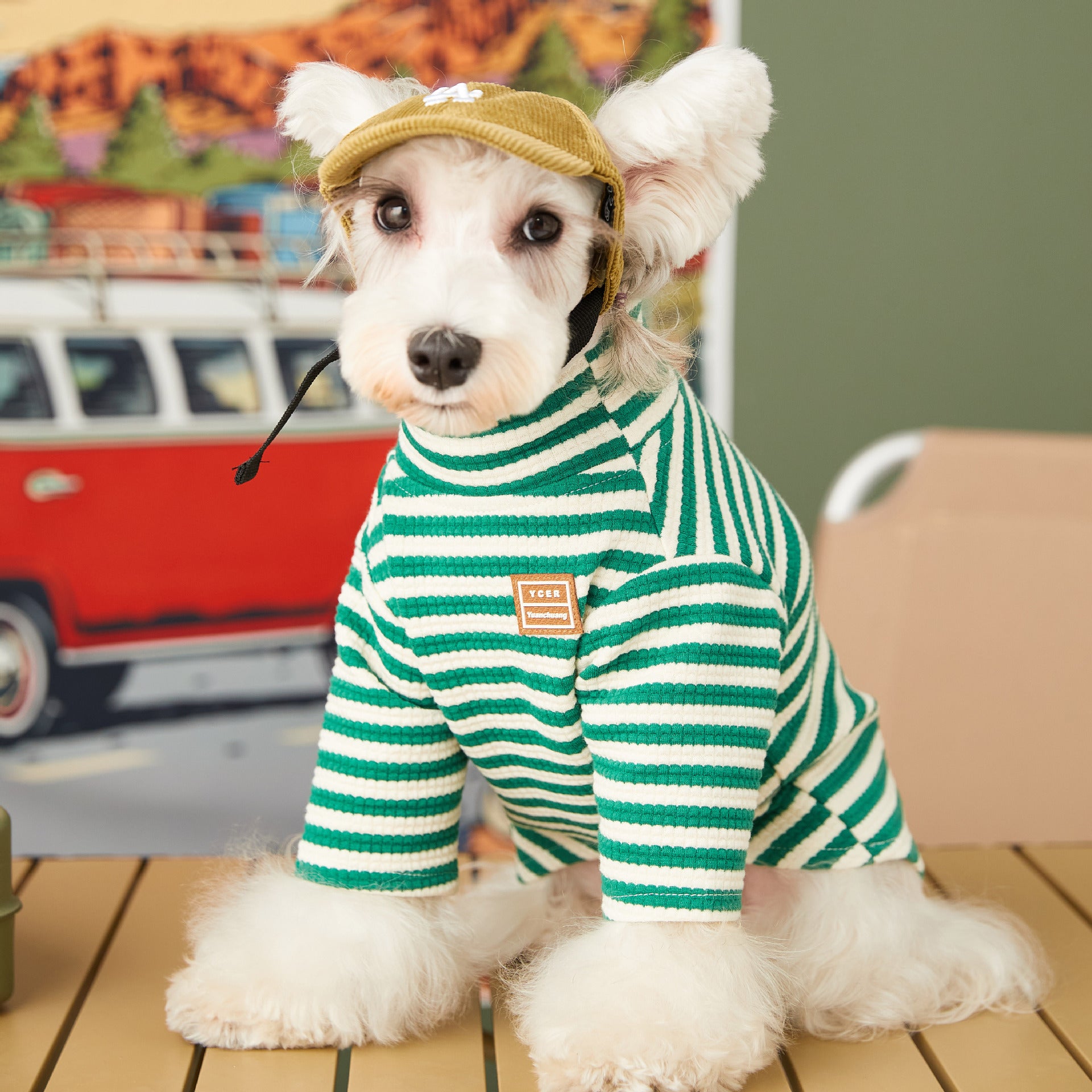 Striped High-Neck Two-Piece Cat Outfit