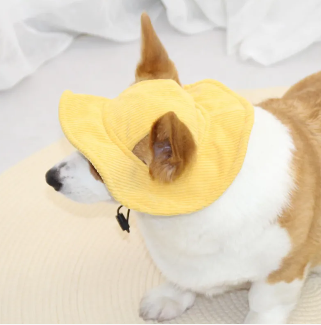 Pet Casual Hat