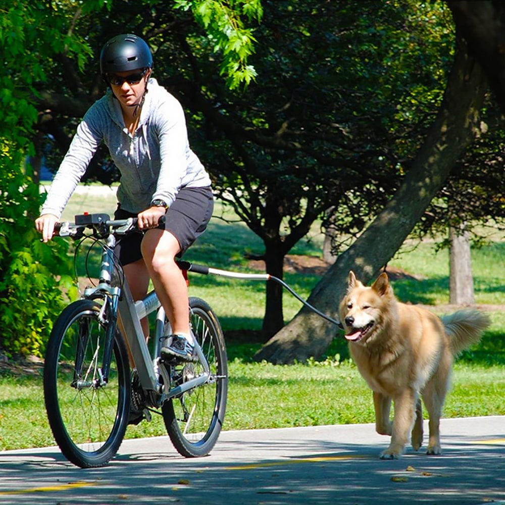 Stainless Steel Dog Leash for Biking and Walking