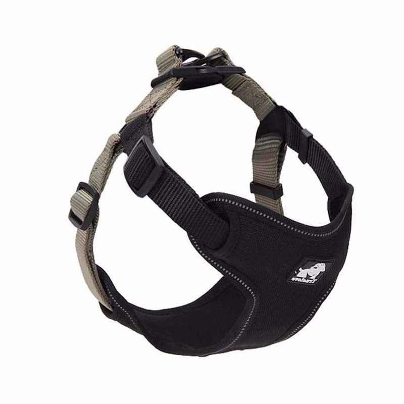 English Bulldog Harness with Leash and Collar for Dogs
