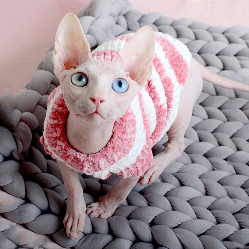 New Fashionable Clothes for Hairless Cats