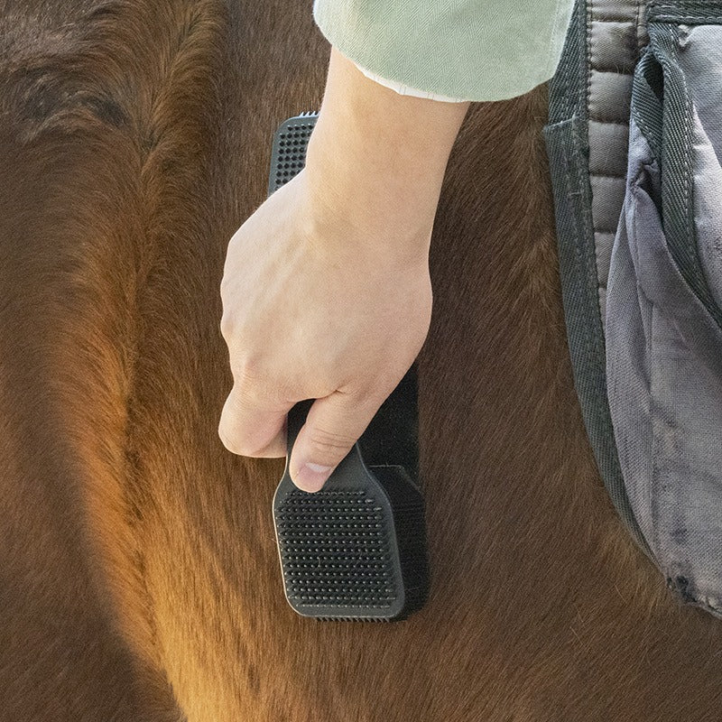 Horse Grooming Brush Kit