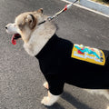 Cute Anti-Fluff Pet Clothes for Parent-Child Matching