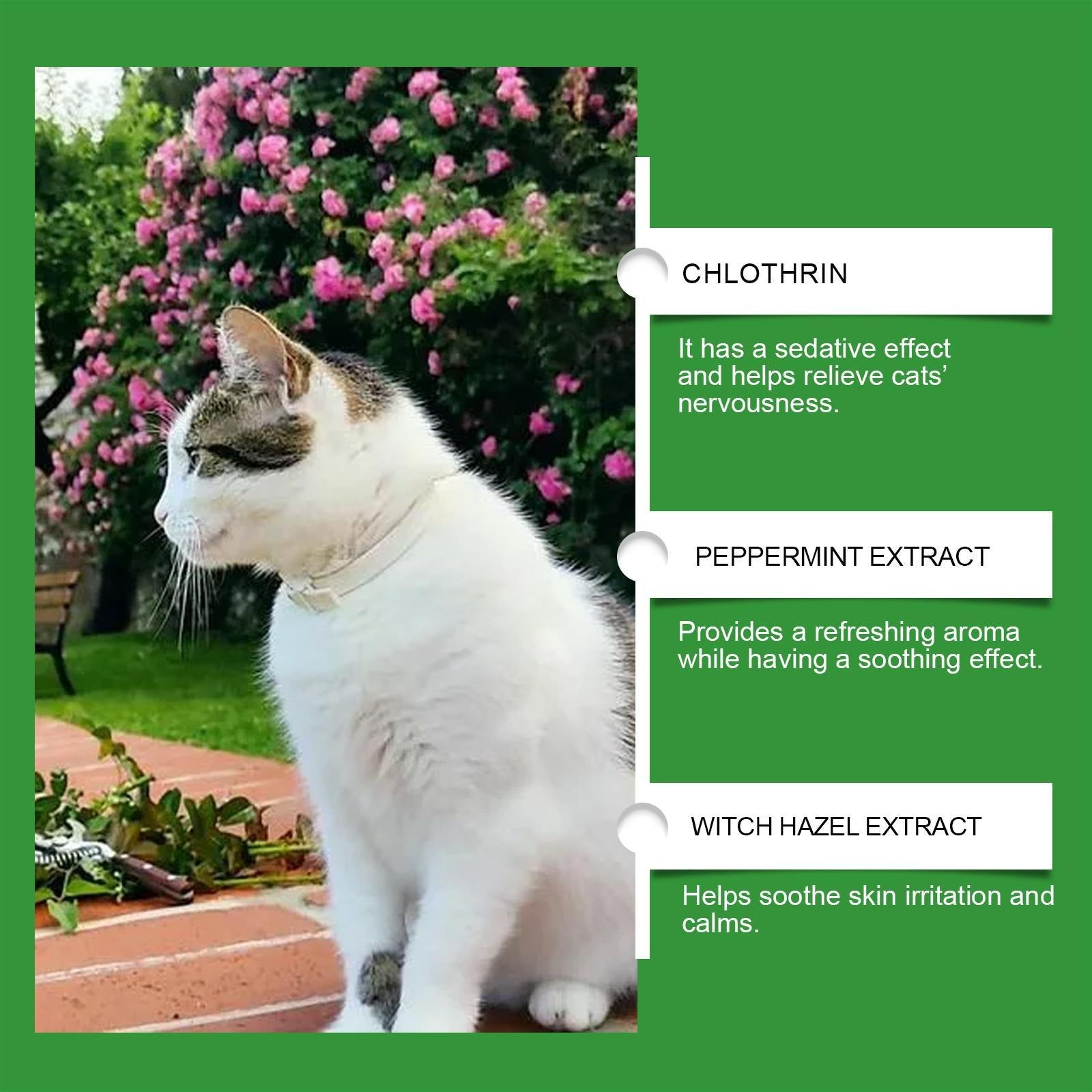 Cat Emotional Care Set
