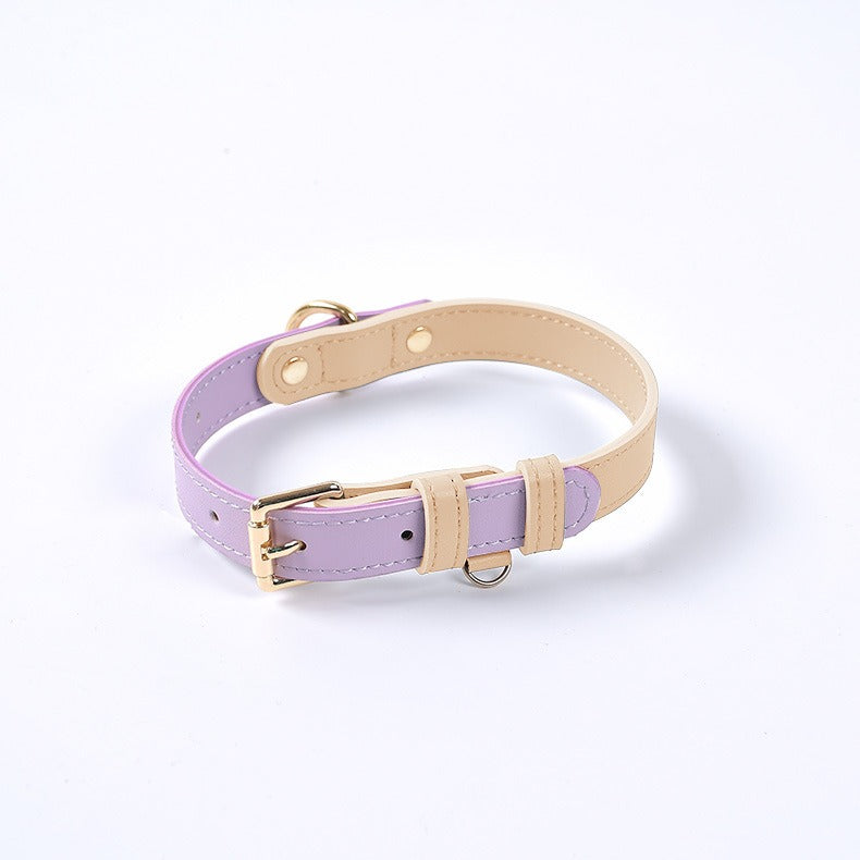 Leather Dog Leash and Collar Set