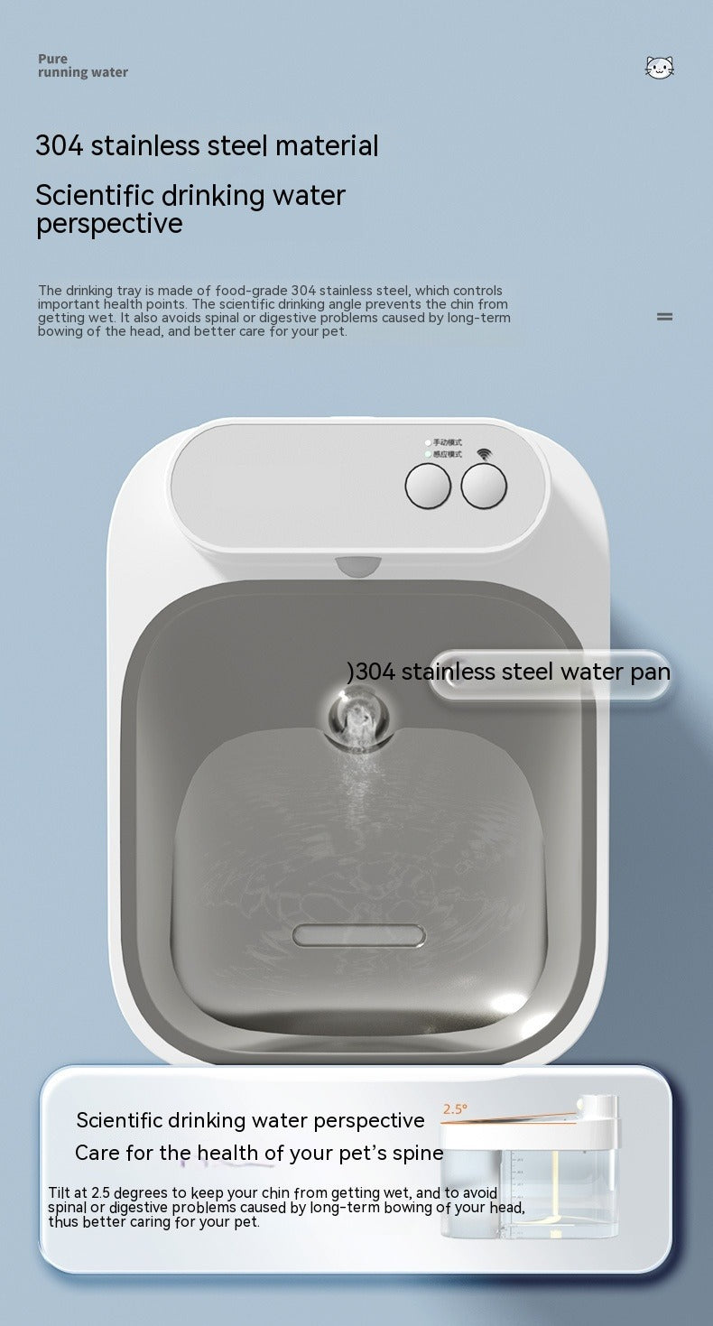 Automatic Cat Water Fountain with Filtration