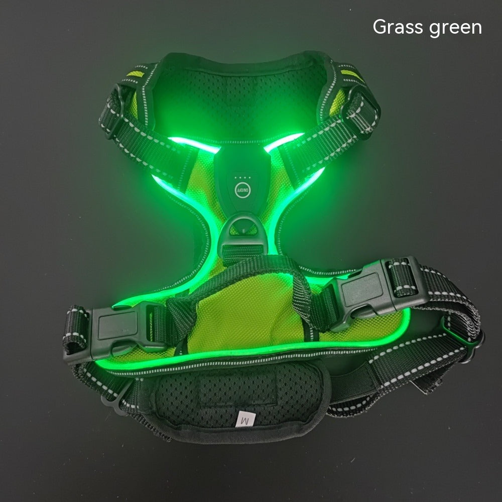 Luminous Dog Vest