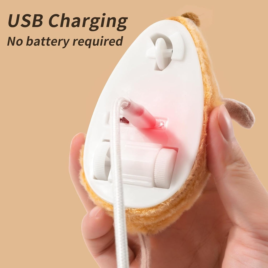 LED Cat Mouse Toy