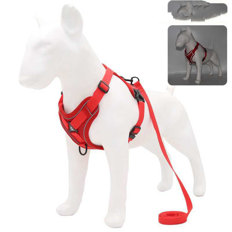 Dog Harness Set