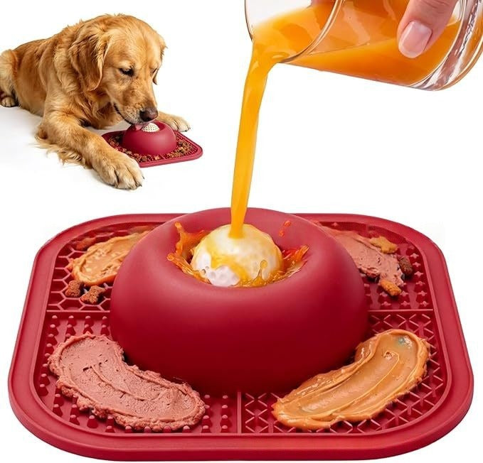 Practical Slow Feed Dog Bowl