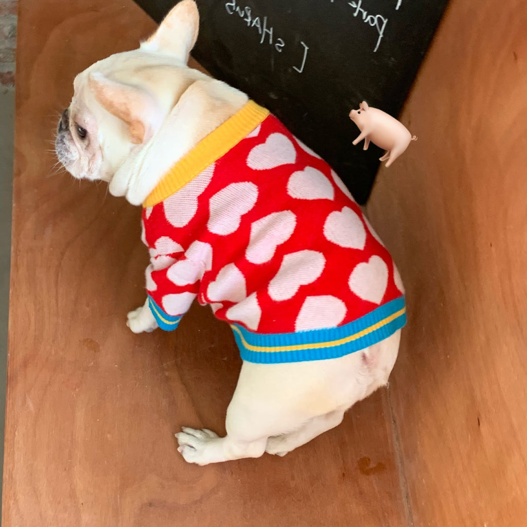 Trendy Pet Sweatshirts for Dogs and Cats (Fall/Winter)