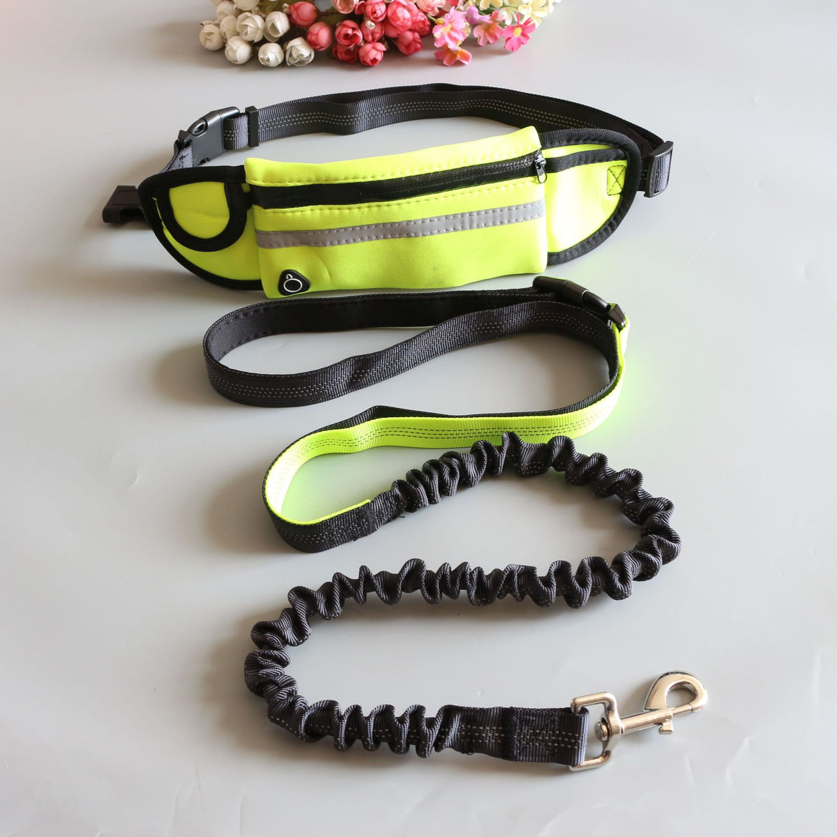Pet Traction Rope and Pocket Running Set