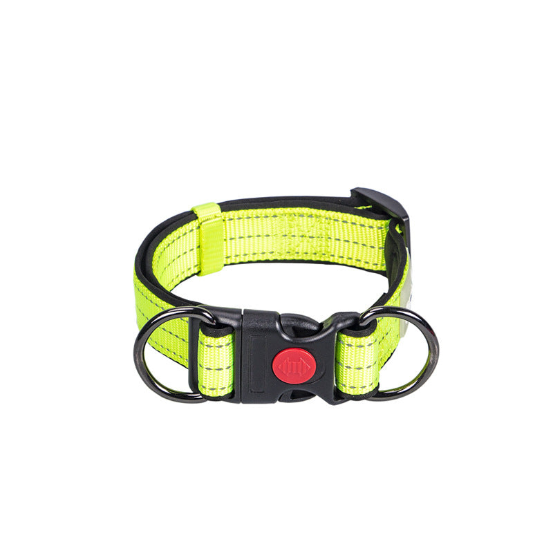 Collared Leash for Small, Medium, and Large Dogs