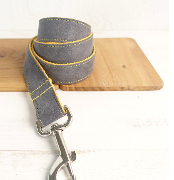 Leash and Collar Set for Dogs