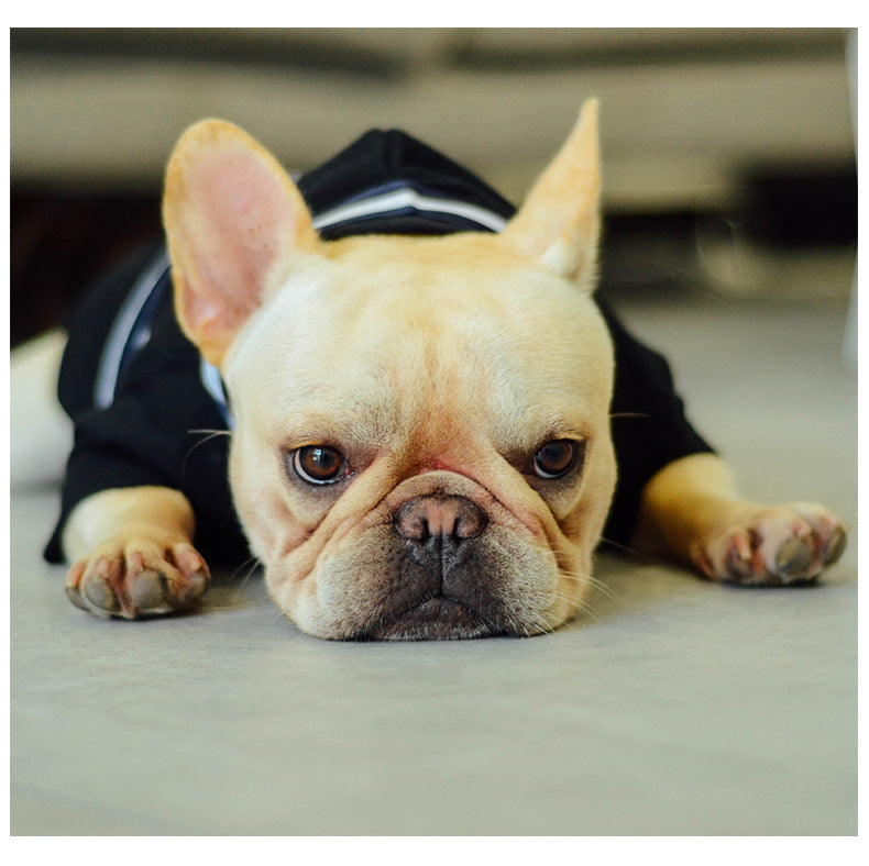 Pet Clothing for Medium Dogs - Autumn/Winter Collection