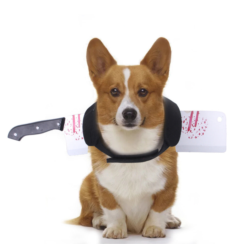 Halloween Fun Ideas for Cats and Dogs