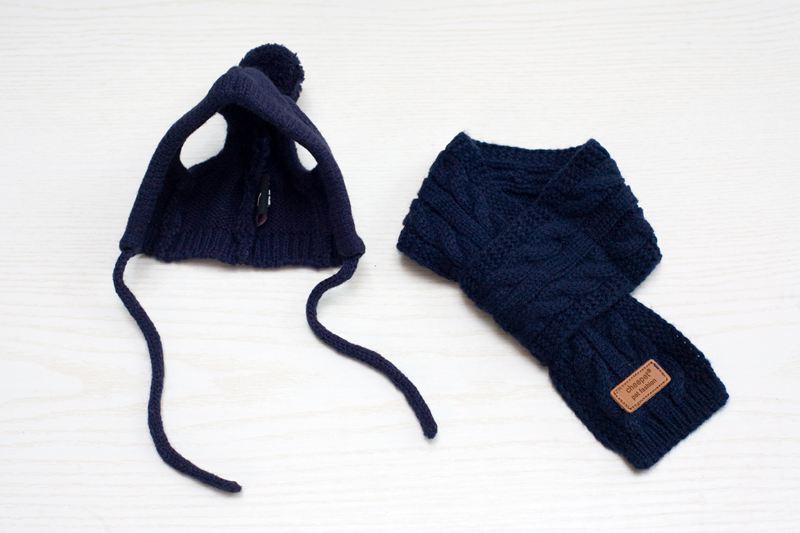 Trendy Pet Apparel Set with Hat and Scarf for Dogs