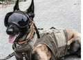 Dog Sunglasses for Medium to Large Breeds (One Pair)