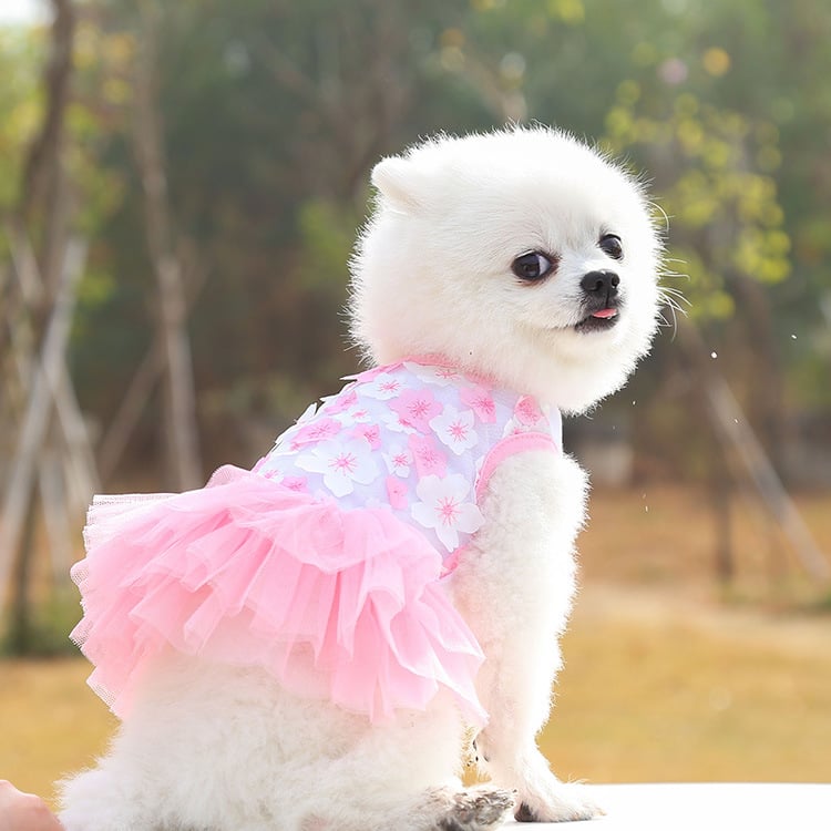 Pet Dog Cotton Skirt with Peach Blossom Design