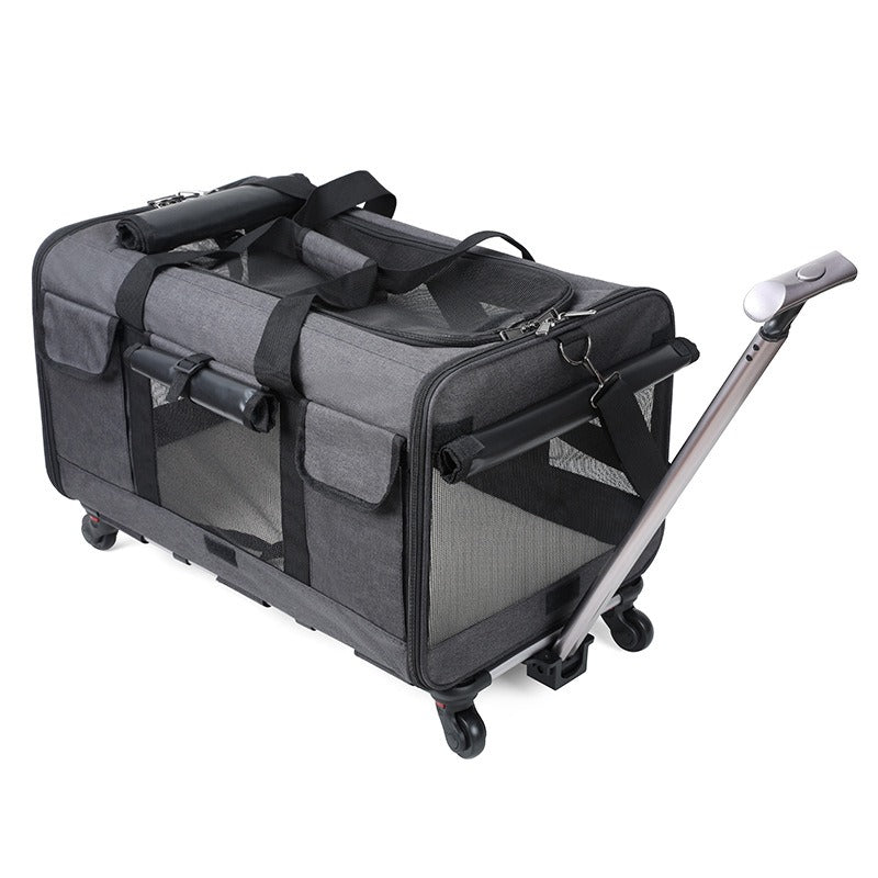 Foldable Cat Pet Bag