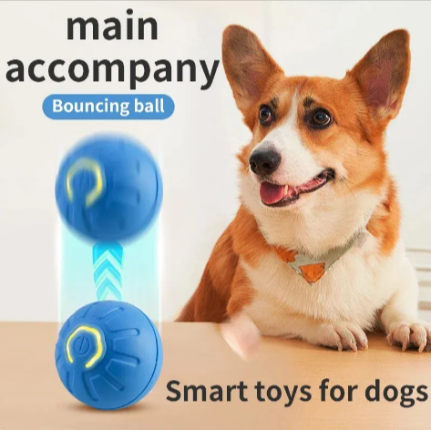 USB Interactive Pet Ball