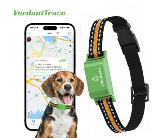 4G GPS Pet Tracking Collar