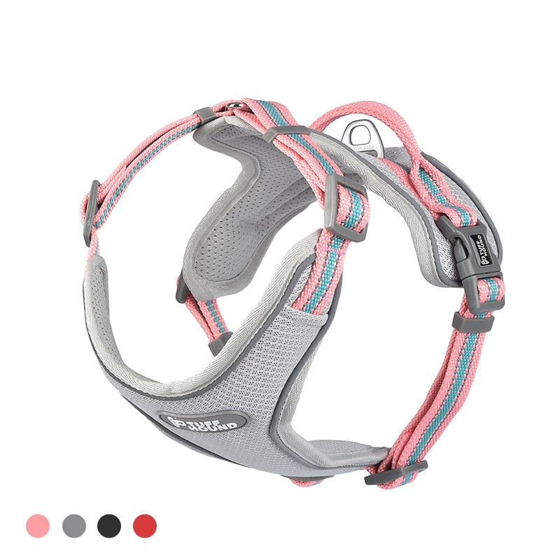 2019 New Dog Harness and Leash for Pets