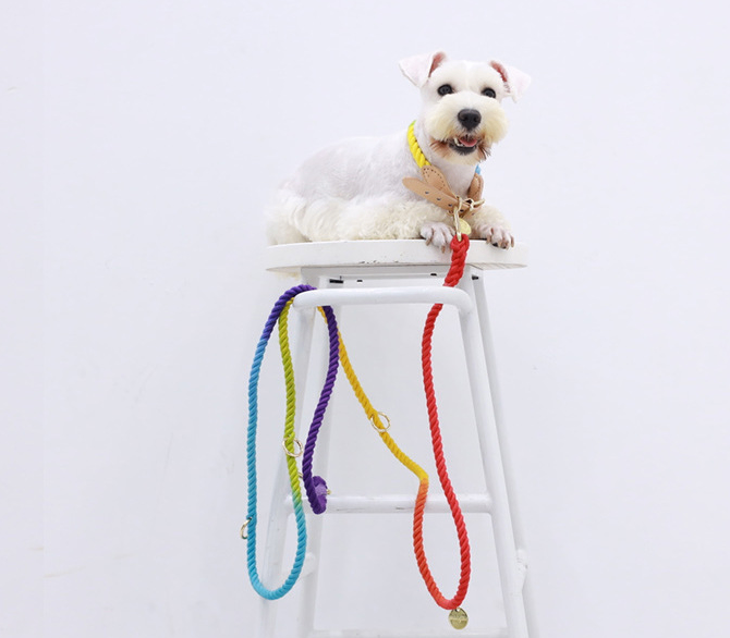 Gradient Rainbow Color Pet Traction Leash