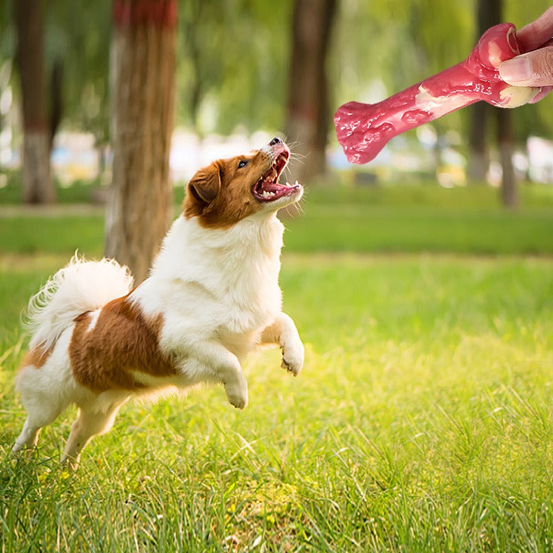 Rubber Bone Dog Chew Toy