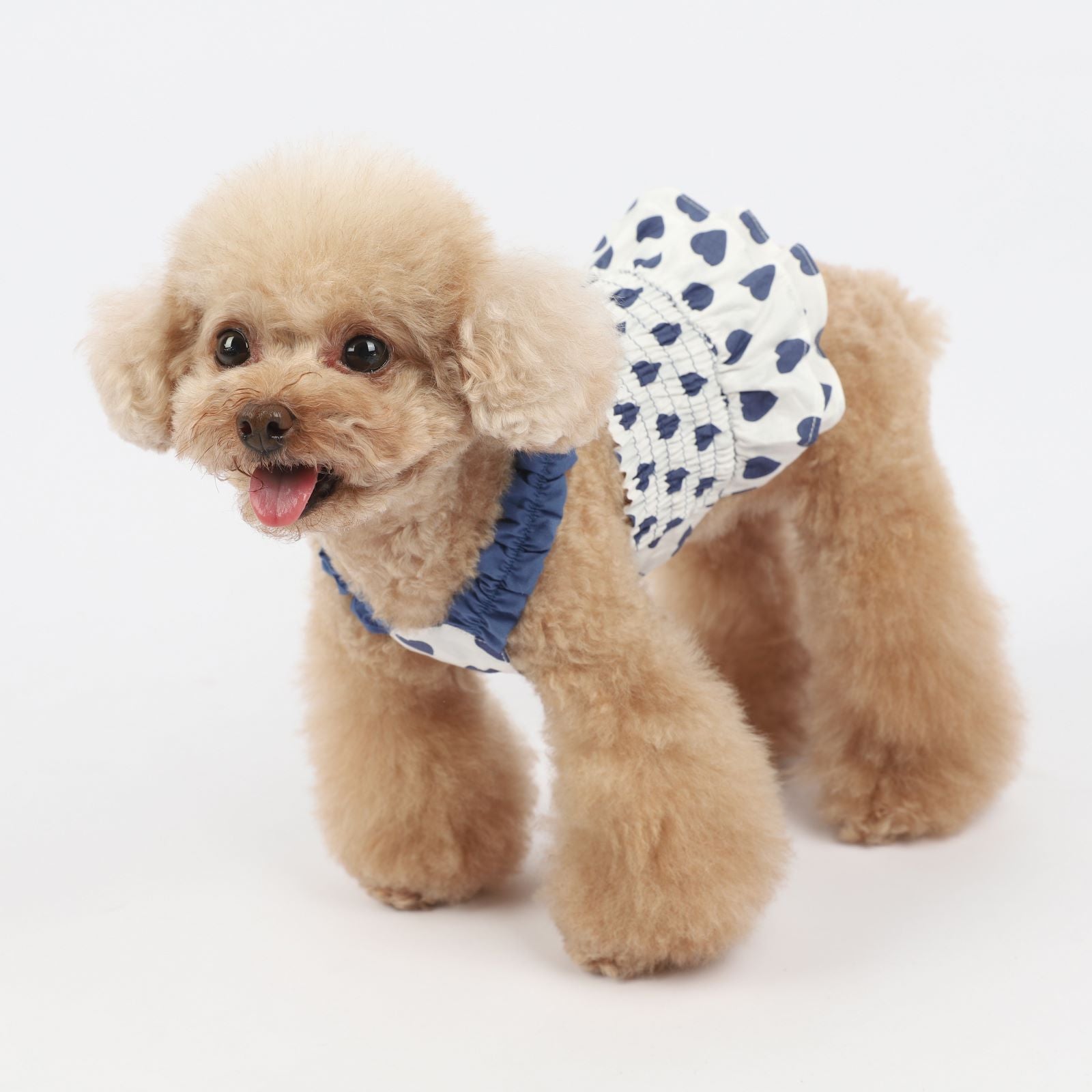 Korean Love Blue and Red Sling Pet Clothes