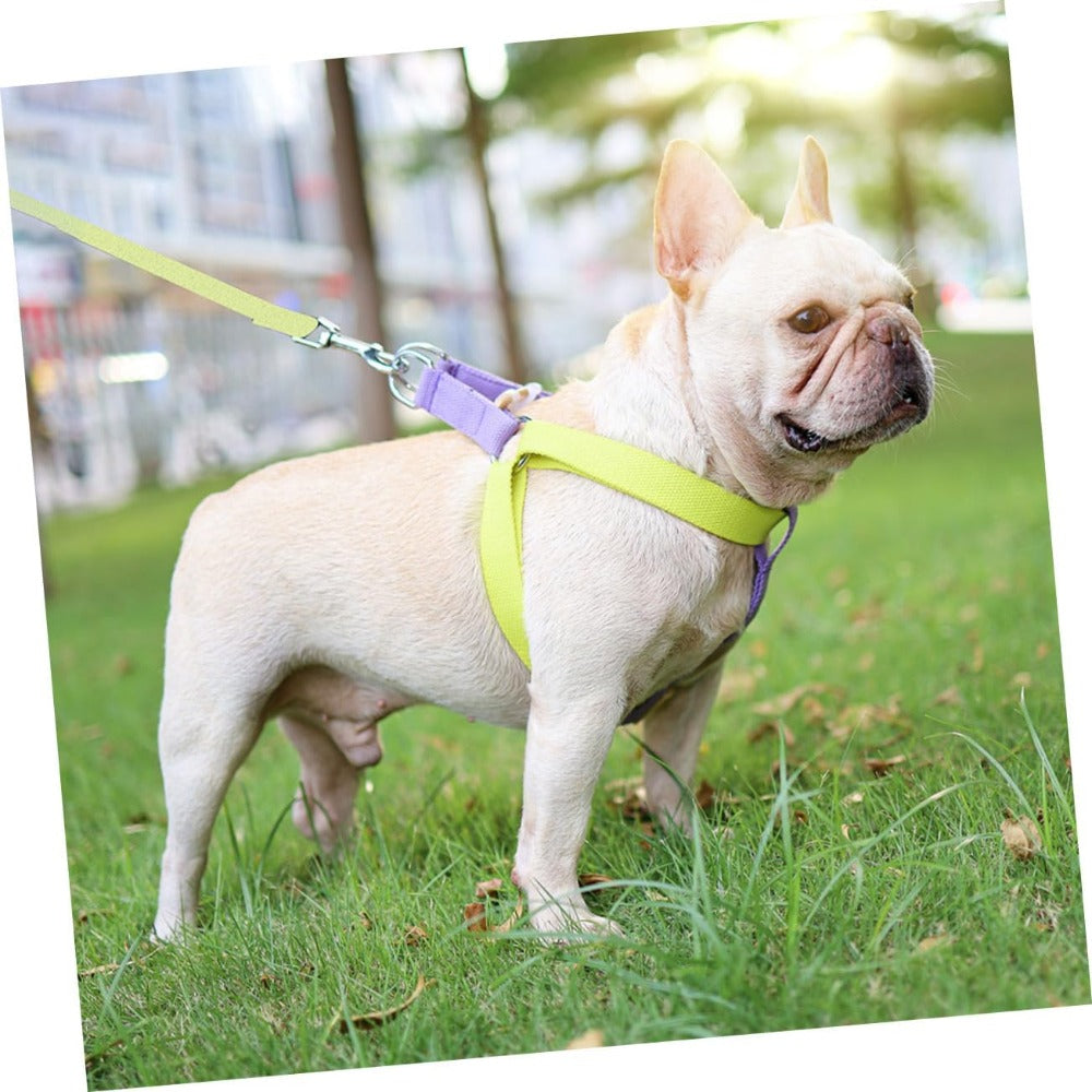 No-Pull Nylon Dog Harness & Leash Set