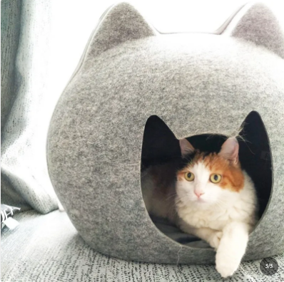 Felt Cat House