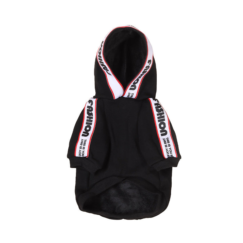 Trendy Clothing for Small and Medium Dogs