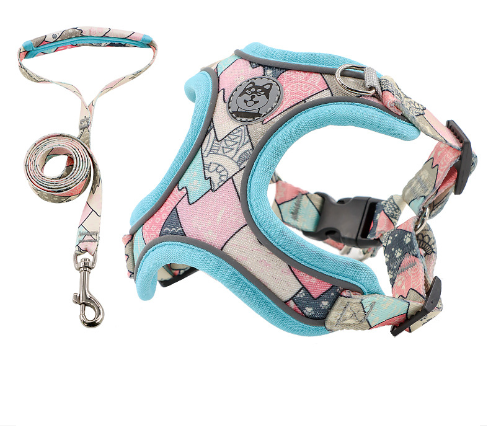 2-in-1 Extreme Pets Harness and Leash Set
