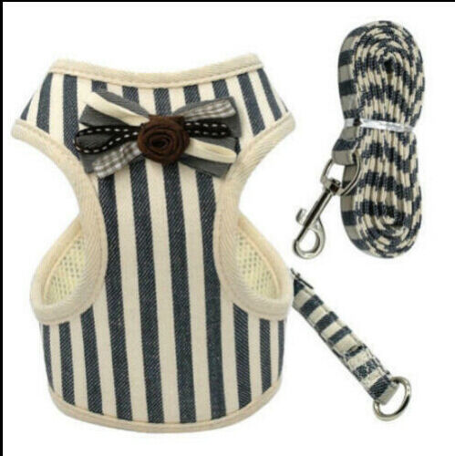 Pet Dog Leash with Harness Vest and Tether Strap
