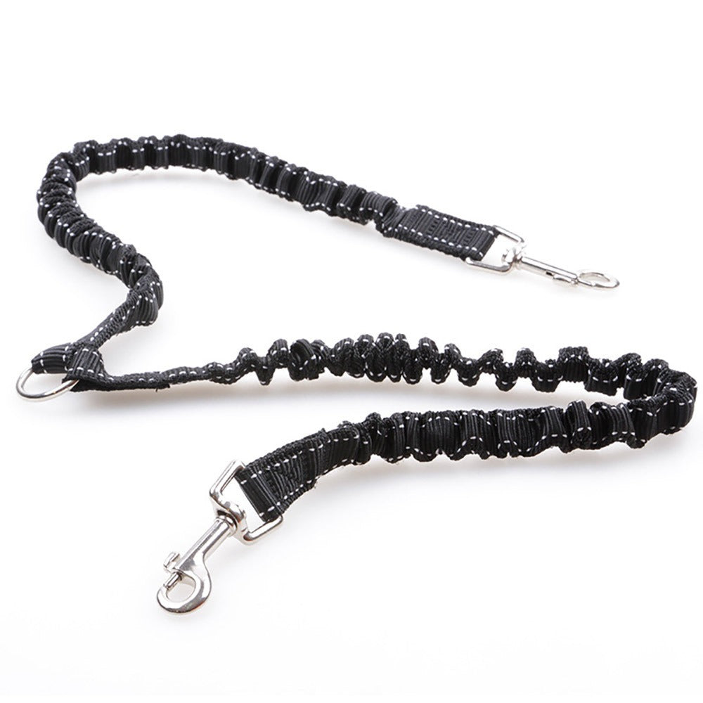Double Head Leash