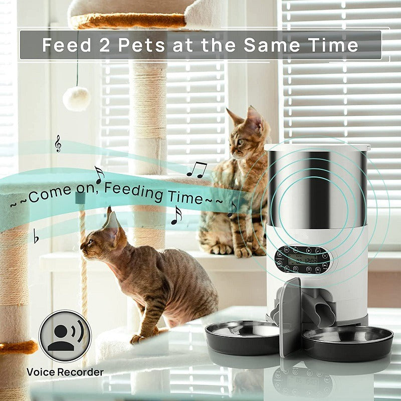 Automatic Pet Feeder with Dual Meal Options