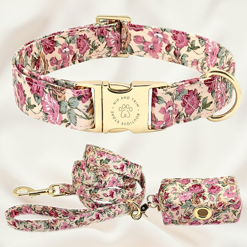 Custom Dog Collar with Personalized Name Tag